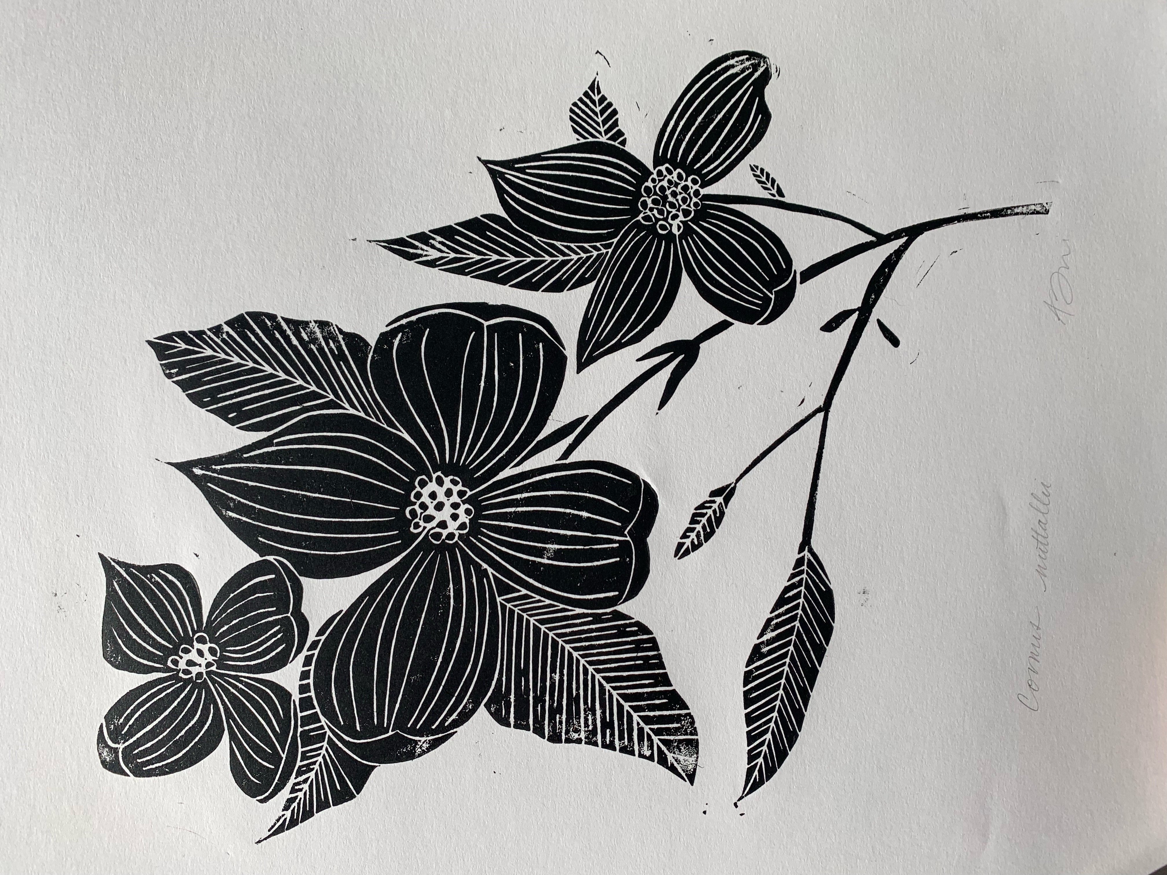 Block print of Pacific dogwood in black ink on white paper.