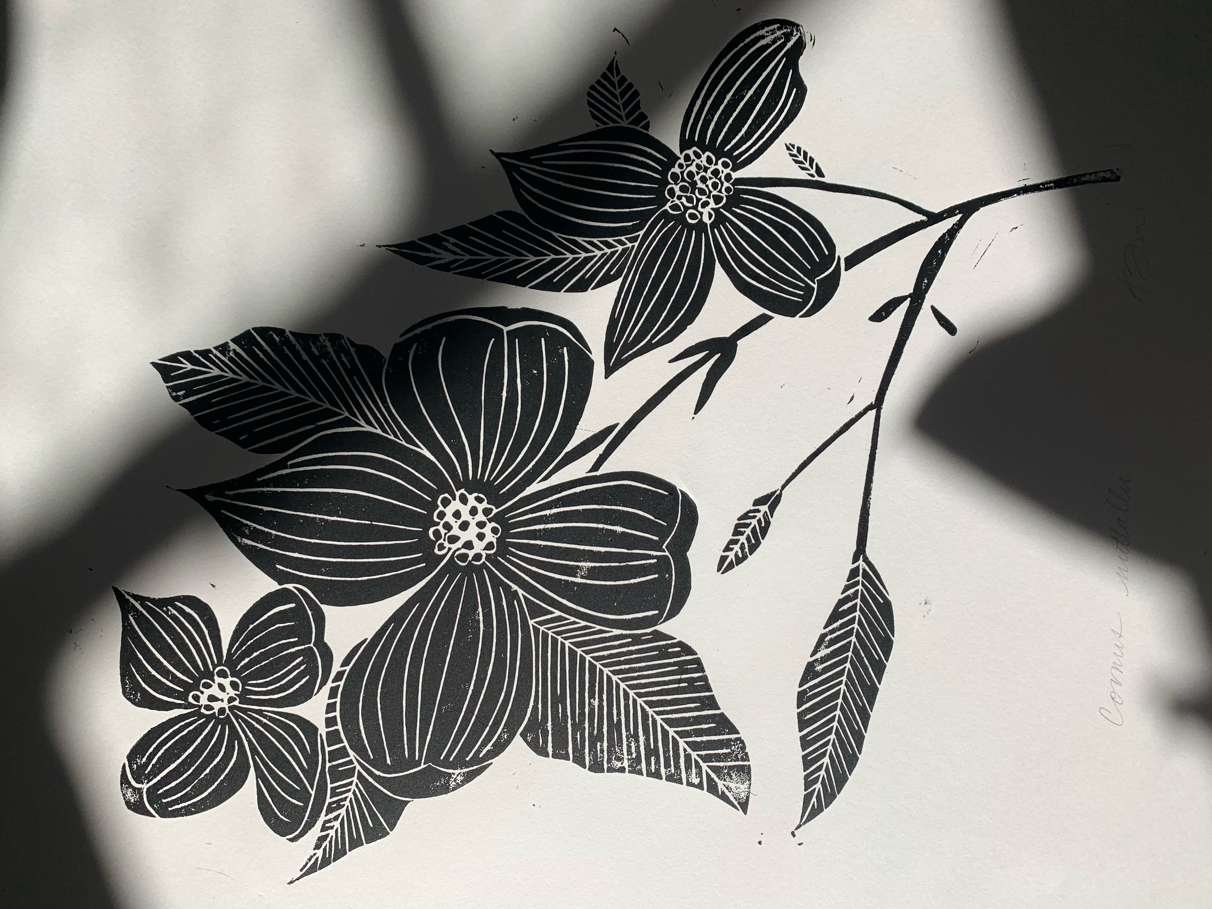 Block print of Pacific dogwood in black ink on white paper partially obscured by shadows.