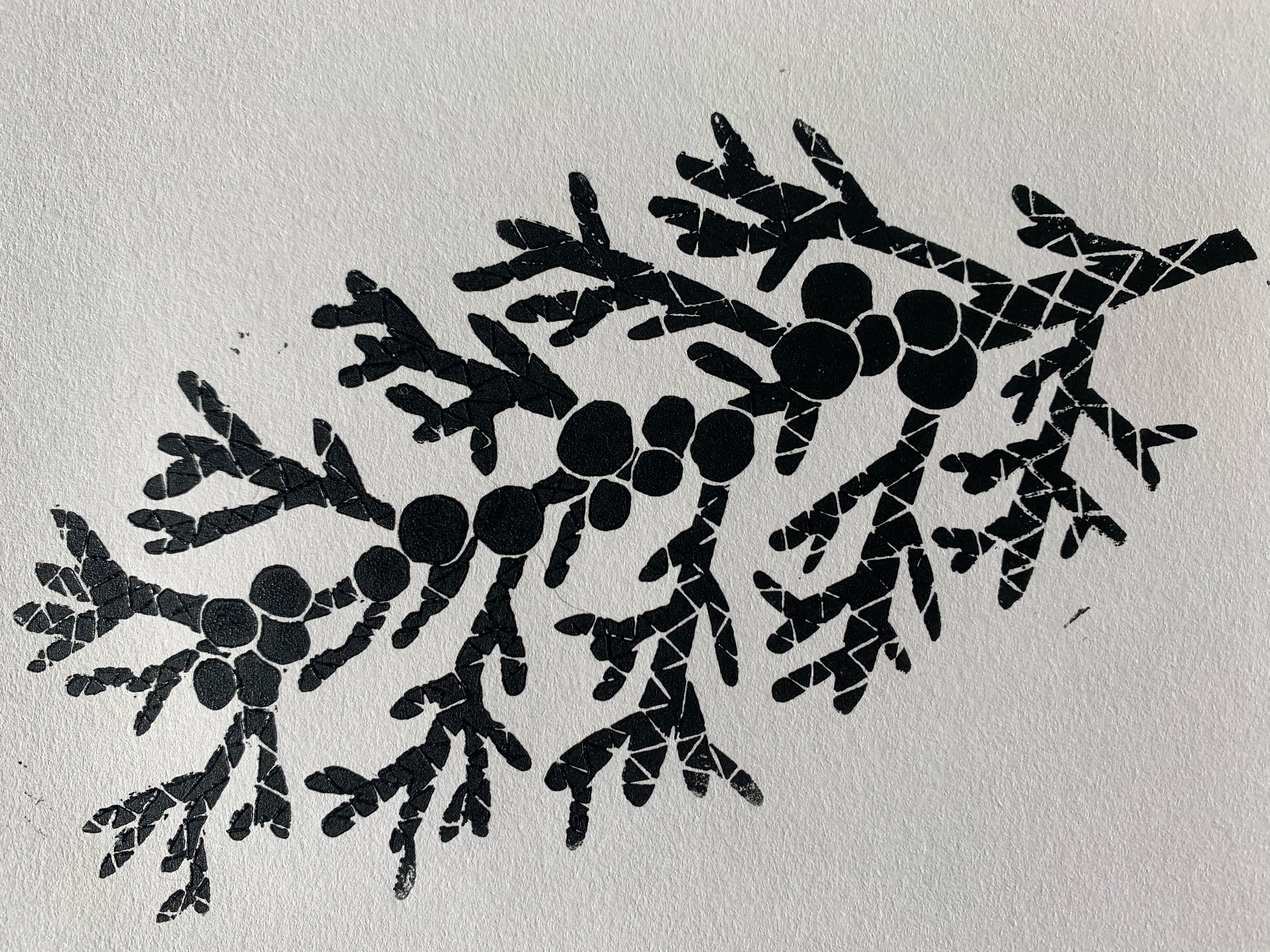 Block print of juniper in black ink on white paper.