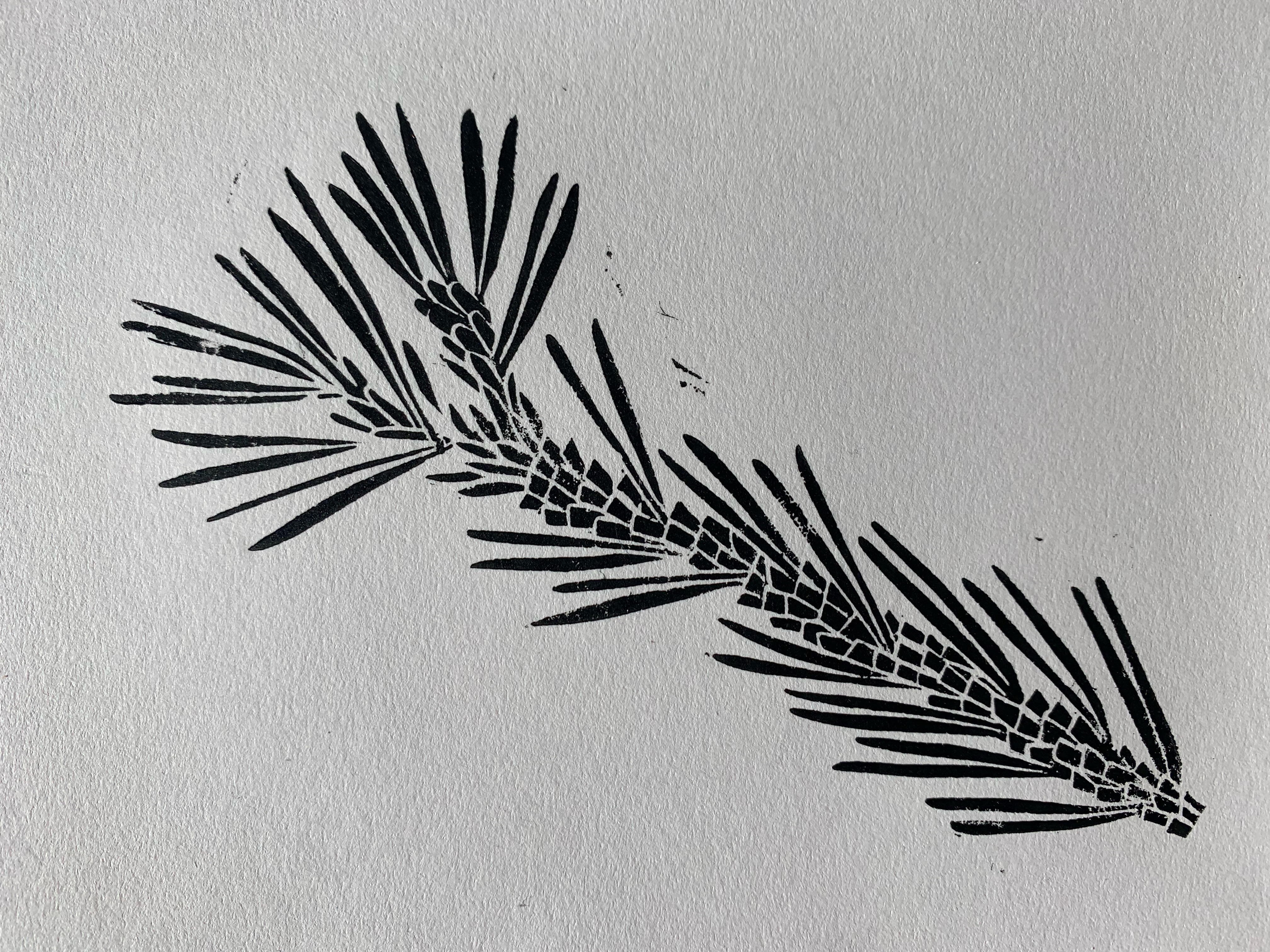 Block print of pinyon pine in black ink on white paper.