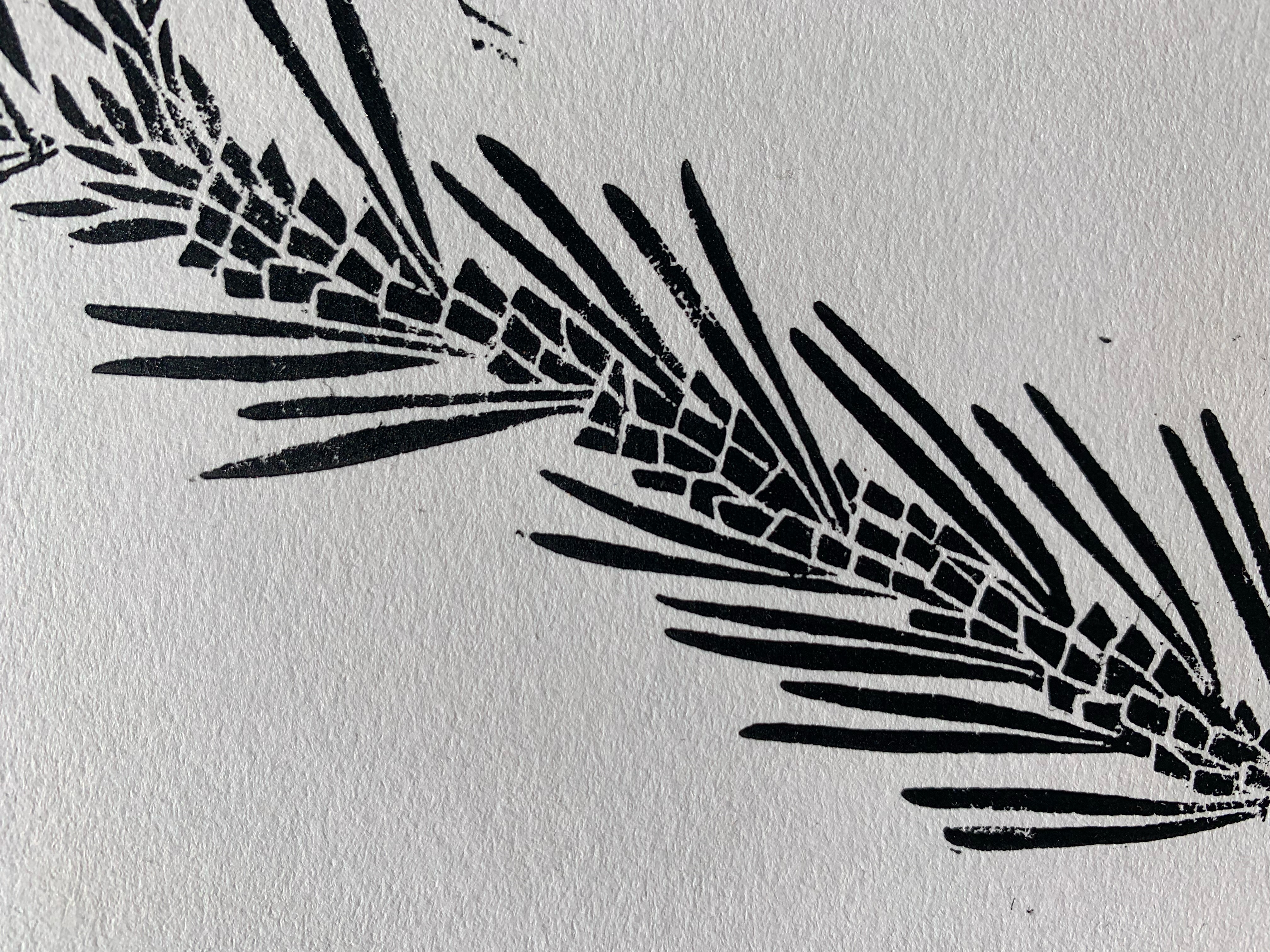 Detailed view of block print of pinyon pine in black ink on white paper.