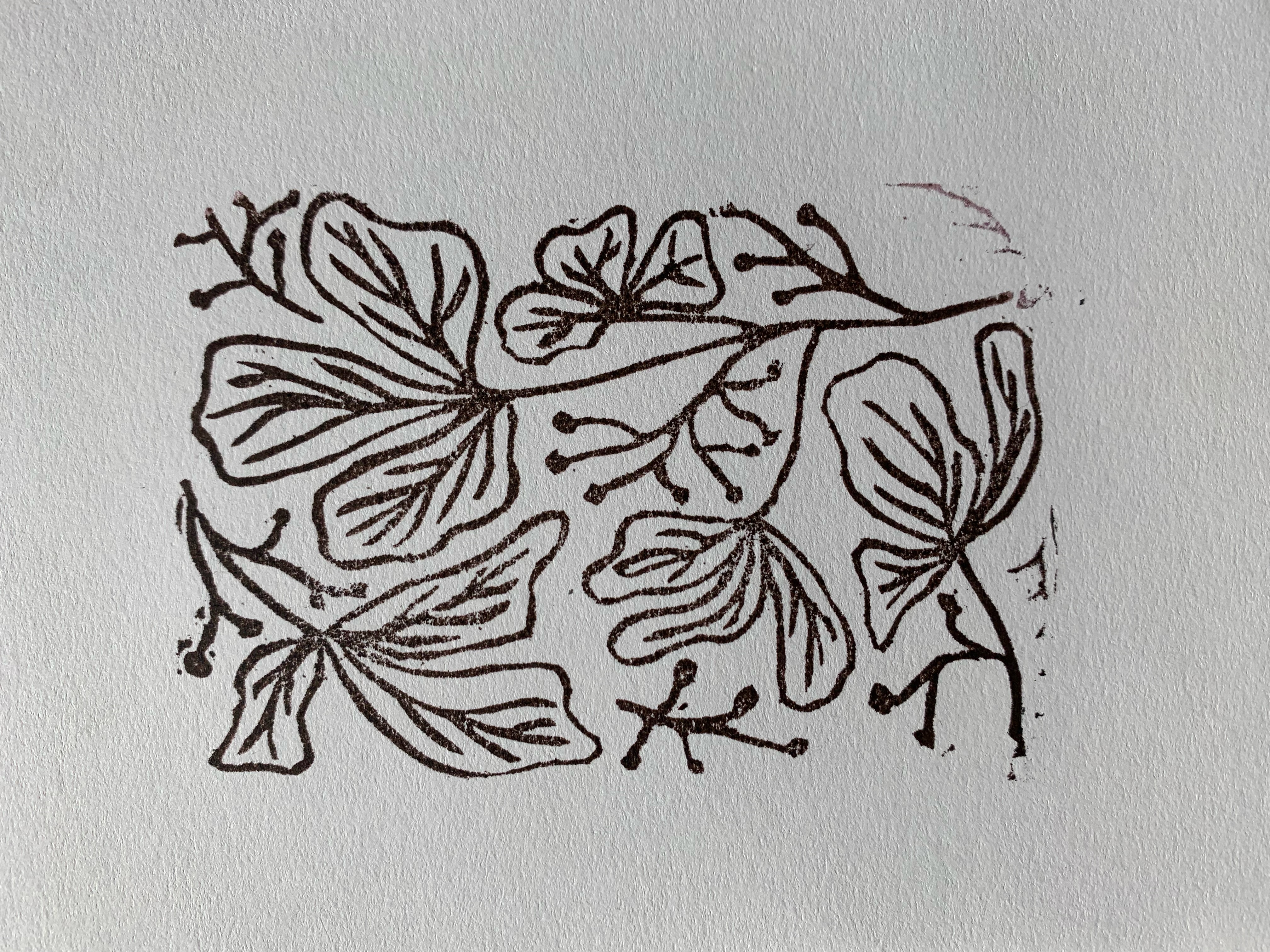 Block print of poison oak in brown ink on white paper.