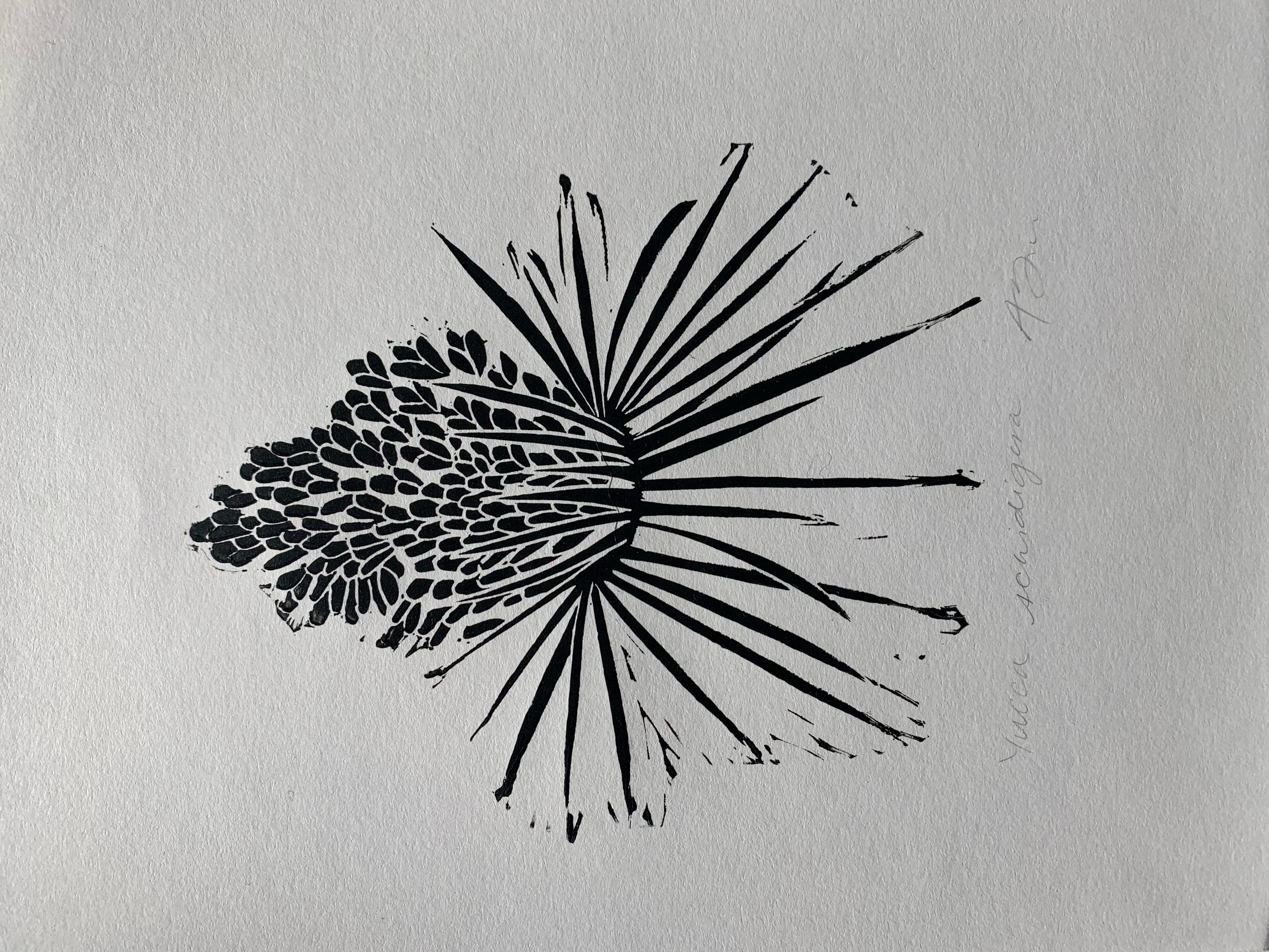 Block print of Yucca on white paper in black ink.