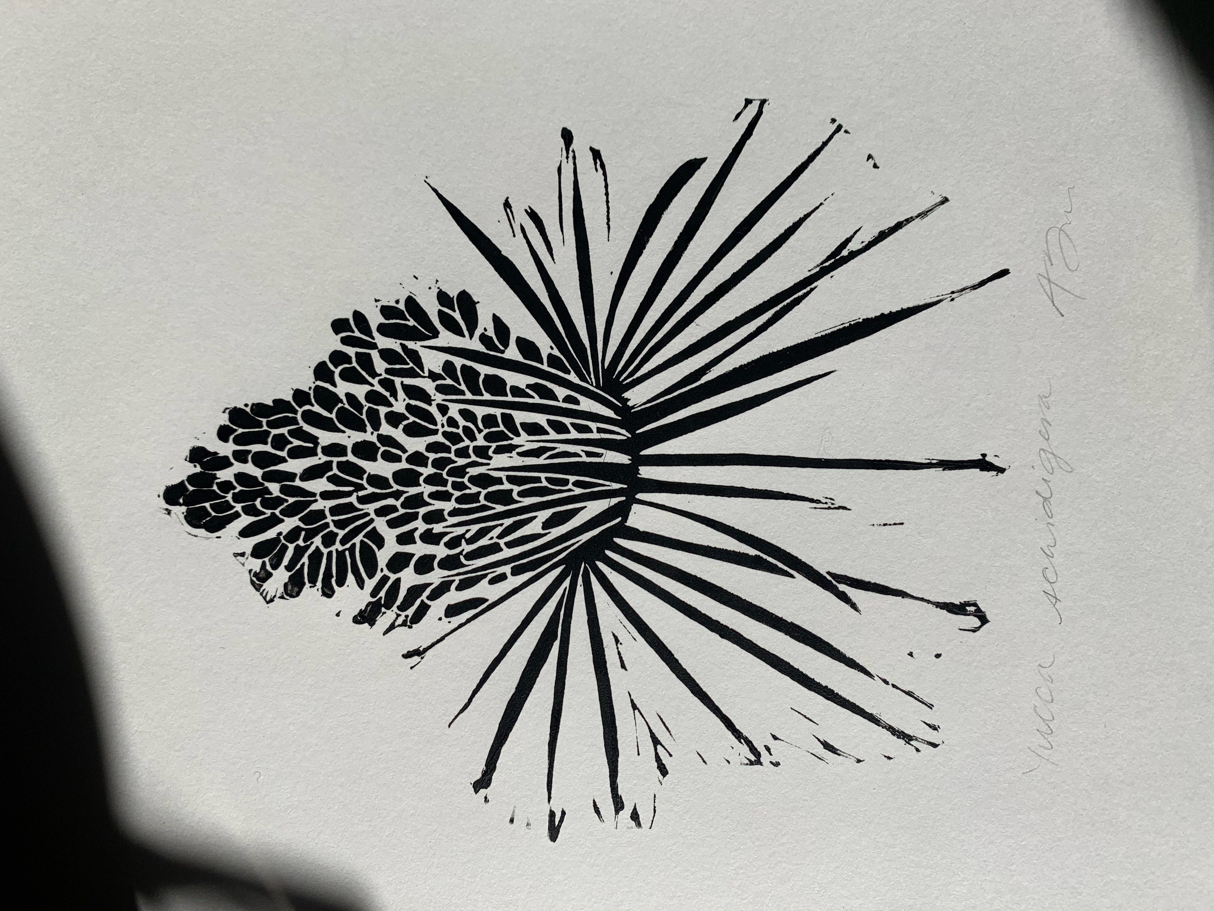 Block print of Yucca on white paper in black ink partially obscured by shadows.