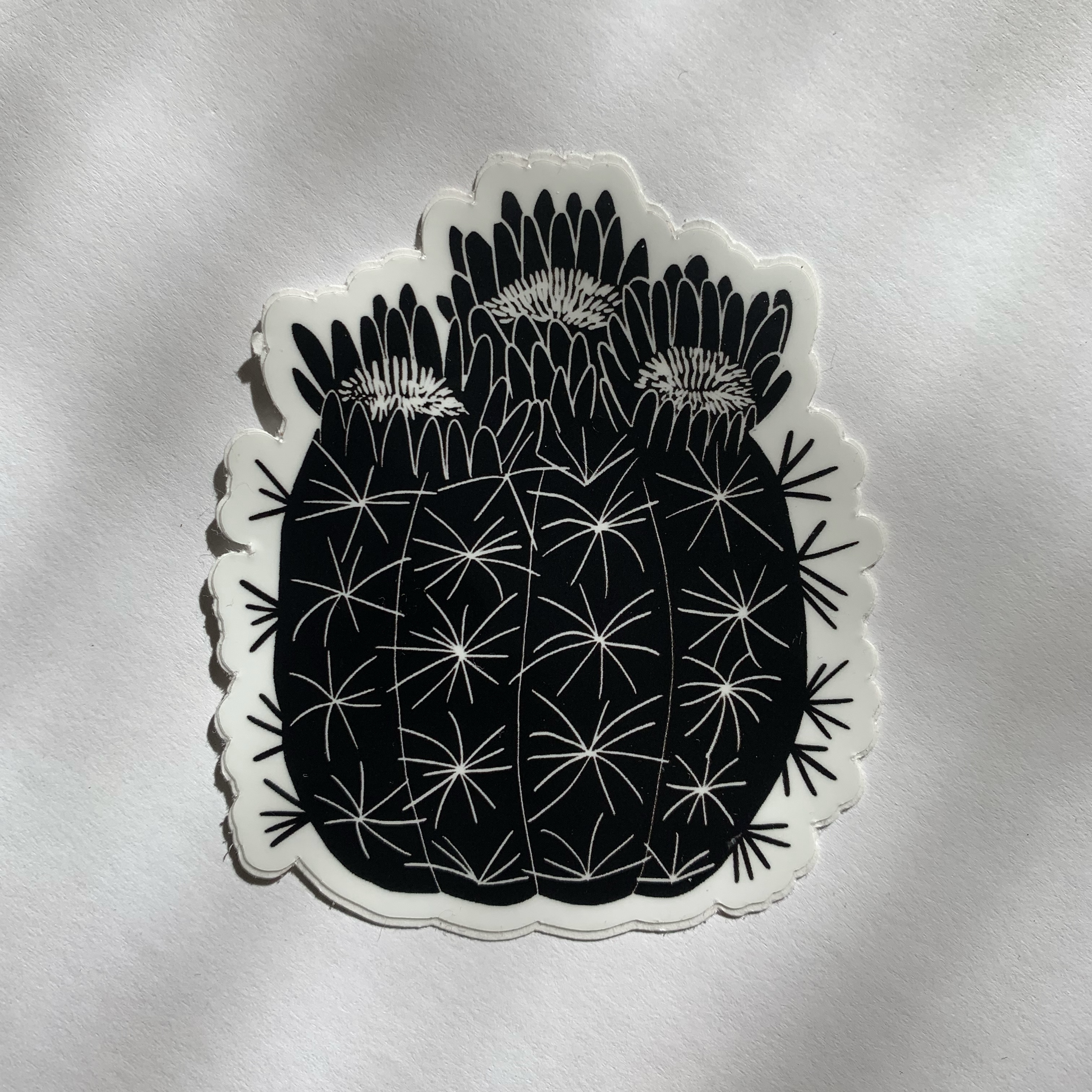 black barrel cactus vinyl sticker